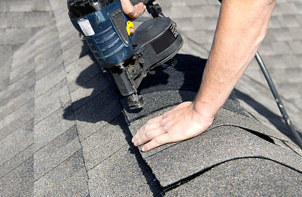 Best Roof Insulation Installation  in St Clair Shores, MI